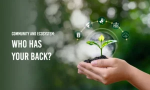 Community and Ecosystem