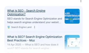 The knowledge panel 